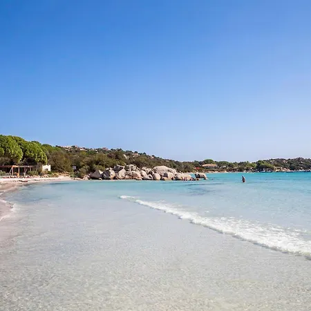 Lalpana * Figari